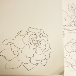 Free-hand straight-to-ink copy of a Camelia