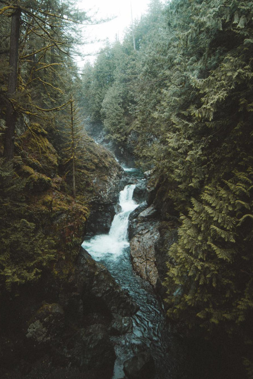 thrilled-d: natura-e:   - Nature blog ^^   🍃 