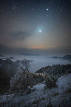 tulipnight:  Star gazing above clouds by Haitong