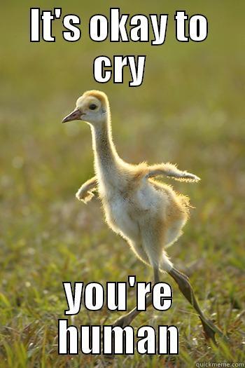 thatweirdkiddyouknow:  Supportive Sandhill Crane 