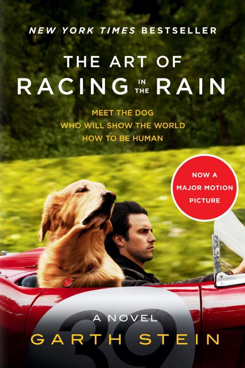 airplanes924:Books I’ve Read in 2021Number 32The Art of Racing in the Rain by Garth Stein