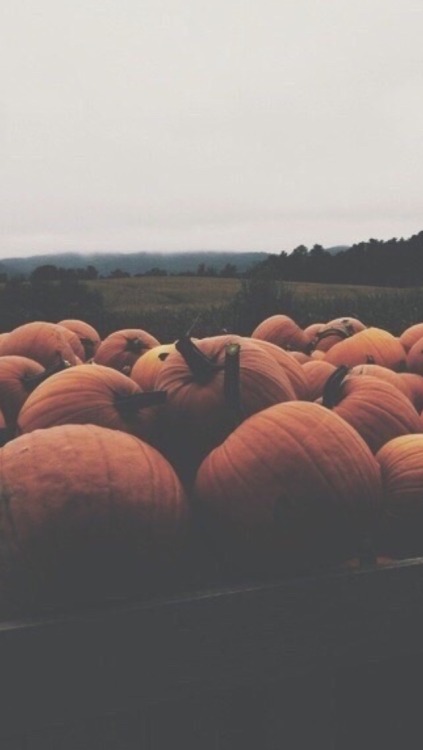 locksandwalls: •Autumn• Lock screens/Wallpapers ~Fun fact, my favourite season {like/reblo