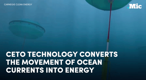 the-future-now:  This company is harnessing the power of the ocean (x) | follow @the-future-now