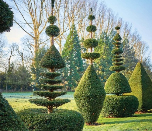 Michael & Janey Hill’s Topiary,Cressy Hall, Gosberton, Spalding, Lincolnshire, United King