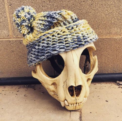 I found this lovely yellow and gray wool so why not make a new beanie#beanie #handmade #catskull #