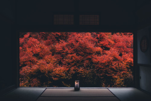 takashiyasui:Ankoku-ji