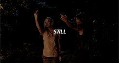 mcgrimes:  countdown to season 6 | 41 days | rewatching [4.12]  
