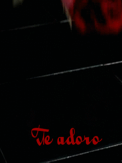 Anjo da noite