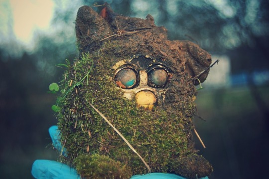 khymeira: indigo-volvoxx:   ”Murby”, a moss-covered Furby found on an old farm’s