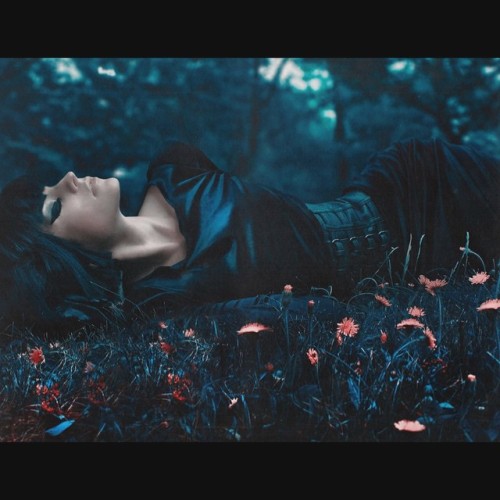 socialpsychopathblr: Ashley Joncas