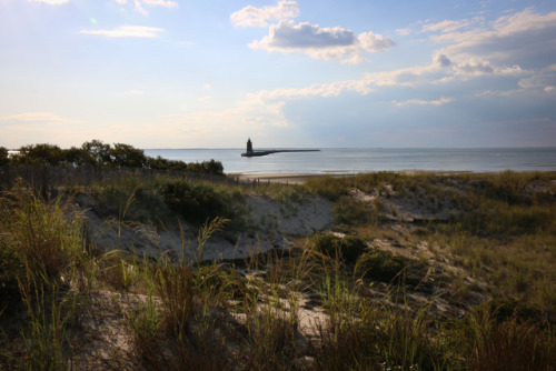 Cape Henlopen State Park, Lewes, Delaware -   September 8, 2017