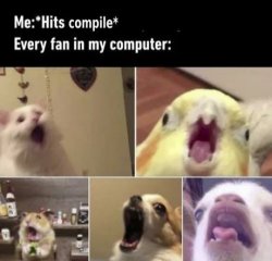 hits compile