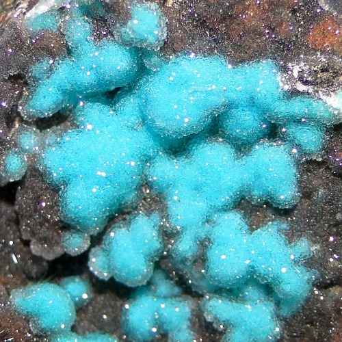 Chalcedony coated Chrysocolla with Brochantite - Los Azules Mine, Quebrada San Miguel, Copiapo, Atac