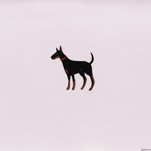 dobermann