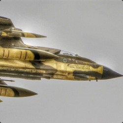 Royal saudi airforce tornado IDS.       