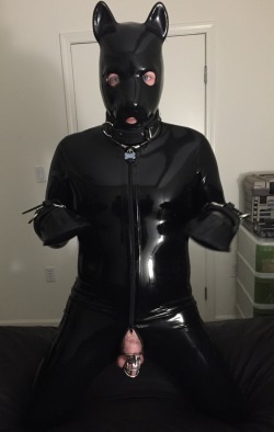 Rbrlover:  @Pupcole Came Over To Visit All The Wy From The East Coast. Had To Make