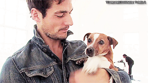 addicted-to-wine: David Gandy AND a puppy!!! Be still my heart.