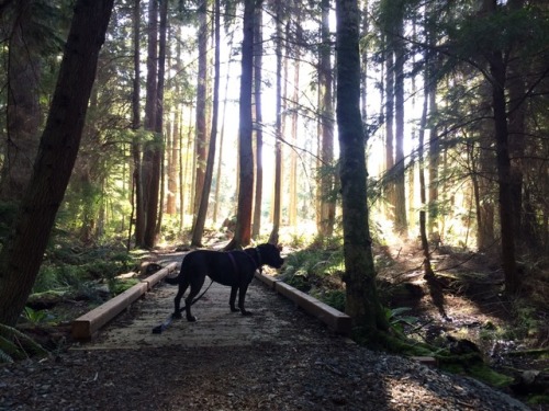 we had a nice walk! I made many small friends and got bitten by many mosquitos, and got a whole bunc