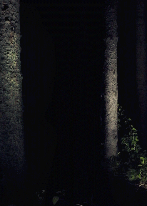 Untitled (Forest for the Trees), 2015