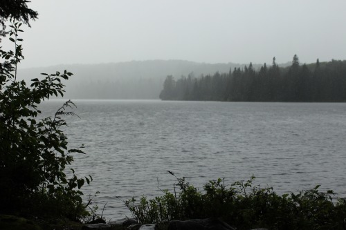 rock-cedar-mosquito: One of the mistiest, rainiest canoe trips I’ve ever been on