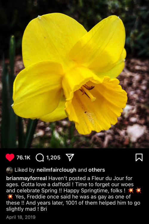Brian May Being His Wonderful Self On Instagram: Highlights
