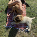redrola: