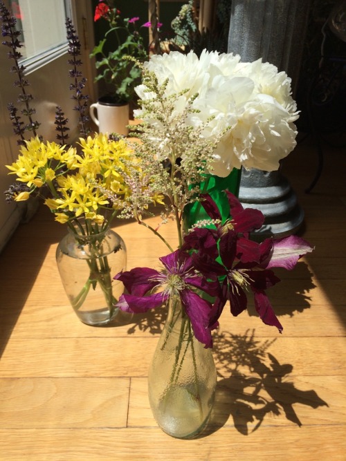 Fleurs from my garden: sage, allium, clematis, astilbe, and peony.