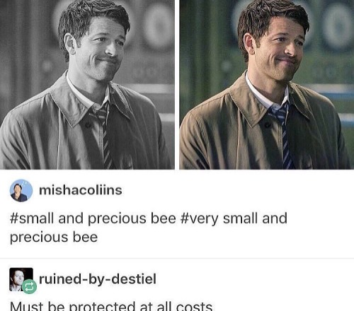 part-of-the-fallen: His face makes me happy
