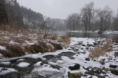 Bend in the Thames River near Kain’s Woods. (photographer: Giles Whitaker)