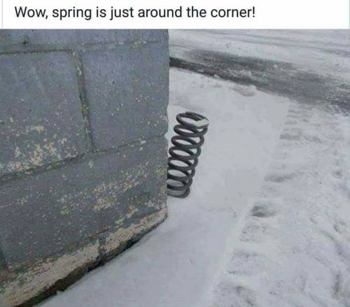 adulthoodisokay:therustyskull:Wow, spring is just around the corner!Wow, spring is just around the c