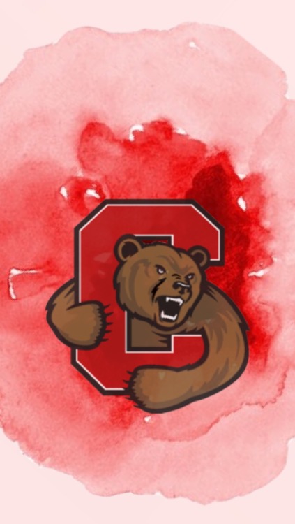 Cornell University hockey /requested by anonymous/