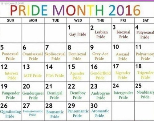 twinkiehowell:  in case you don’t know, it’s pride month !!!!!! be yourself and be proud