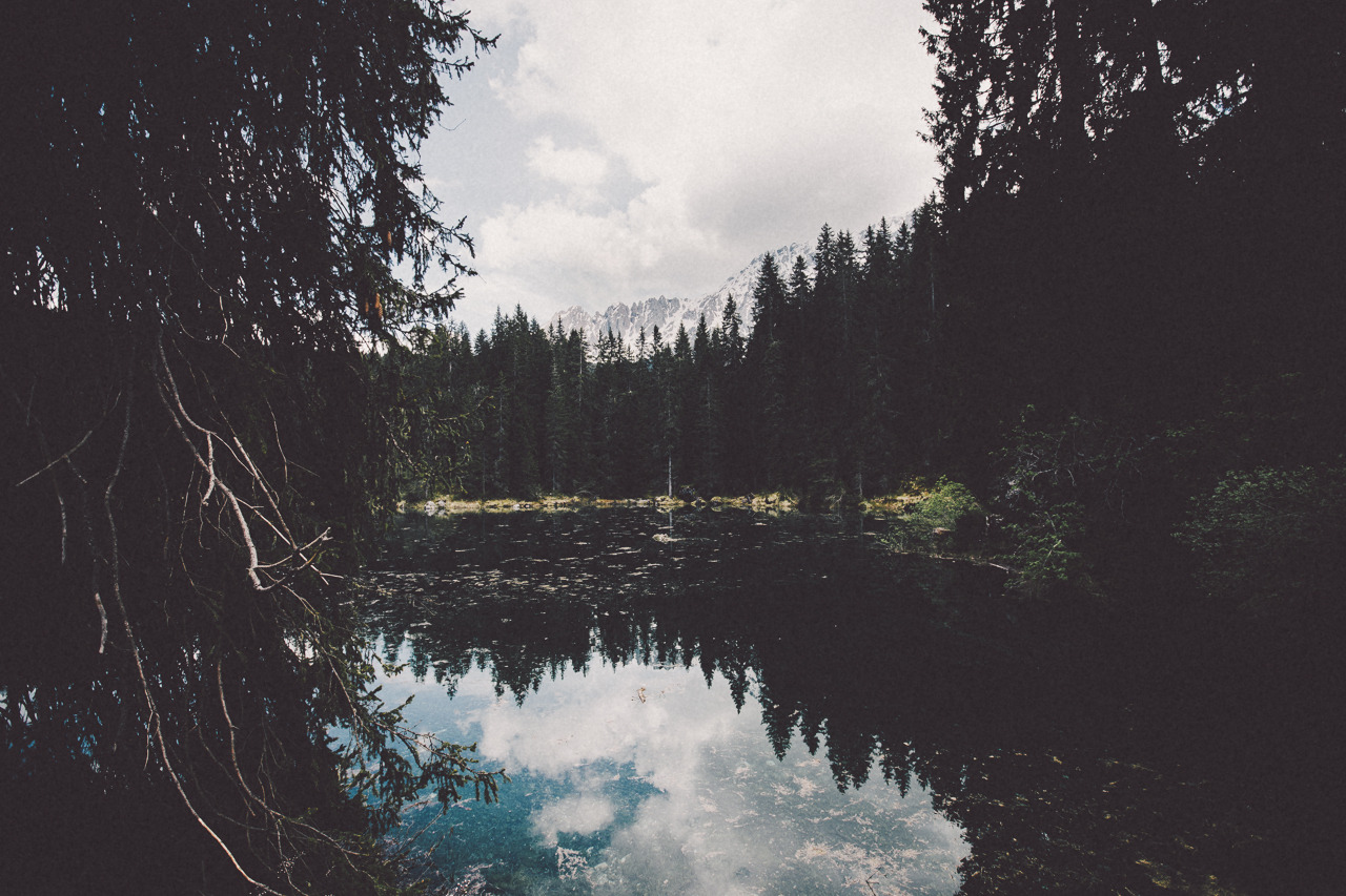 eartheld:  sidestroke:  sidestroke:     all nature  mostly nature 