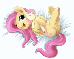 hundekuche-displosio:  Cuddly Fluttershy by *steffy-beff  HNNNG