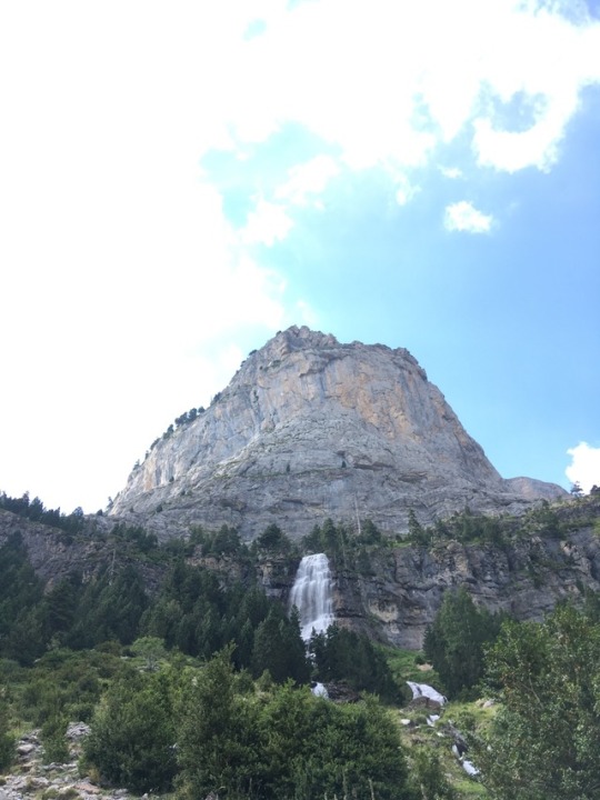 marcherarrant:  Marcher Arrant, strayin’ strong.
