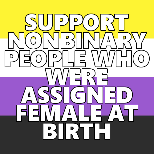 queerlection:[Image description - Images of the nonbinary pride flag with the text: SUPPORT NONBINAR