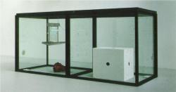 artgods:  A Thousand Years Artist: Damien Hirst Completion Date: 1990 Style: Conceptual Art Genre: installation