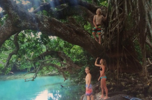 trop-ical-oasis:  Photo from my families trip to vanuatu  ♡♡ active jungle blog ♡♡