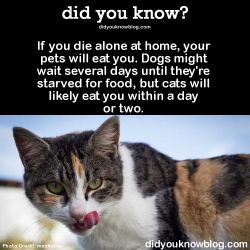 did-you-kno:  If you die alone at home, your