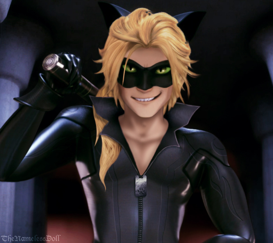 Adult cat noir