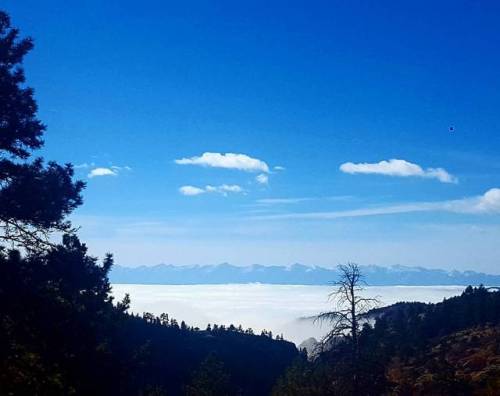 This never gets old. #ShelfRoad #Clouds #OceanOfClouds #Colorado #Sunsets #CrippleCreek #Instagramer