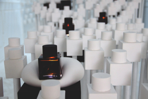 {Today’s Friday Feature Brooklyn-based Snarkitecture.}