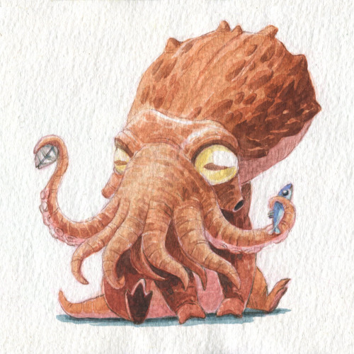 kevanhom: Land Cephalopod #2 - The Giant Pacific Octopus pup.Very playful. Very curious.