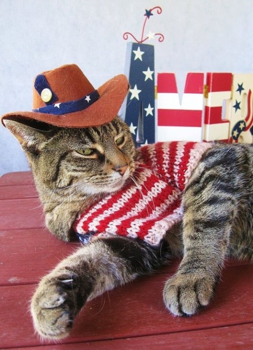 coolcatgroup: Happy 4th of July everyone!! I hope y'all have a good and safe one!!