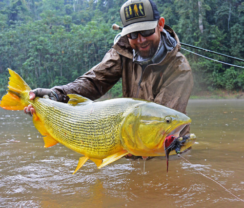 Pure predator for deep in the Bolivian Amazon. We live our motto her at RepYourWater - Fish. Explore