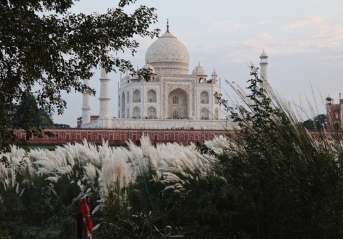 flamande:Taj Mahal, Agra. 25 September 2017.