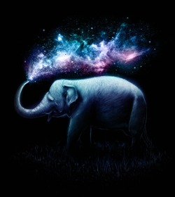 artagainstsociety:    Elephant Splash by Nicebleed  