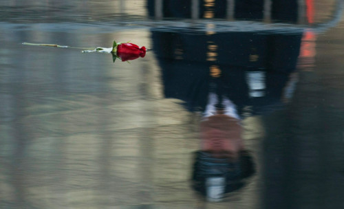 gunrunnerhell:9/11A rose floats in the reflecting pool at Ground Zero during the annual 9/11 memoria
