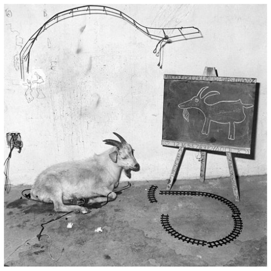 goths0n0acid:       Roger Ballen  