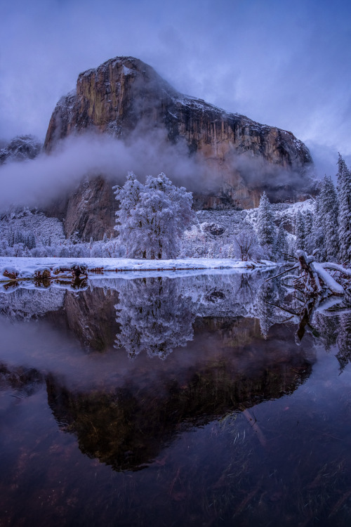 oneshotolive:  Snow Capped, El Capitan emerging through yesterdays broken storm. Yosemite National Park [OC][5414x8117] 📷: franklinsteinnn 